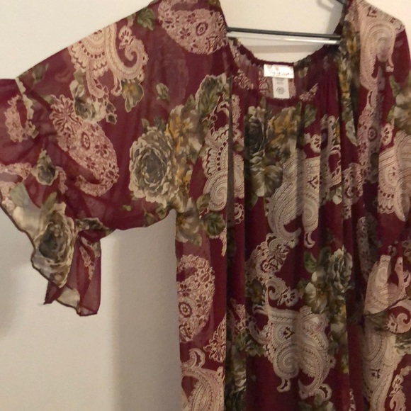 Blouse- sheer - Picture 2 of 4